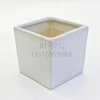 Simple white 10x 10 small square succulent ceramic flowerpot, simple and creative square green plant flowerpot Application Scenario